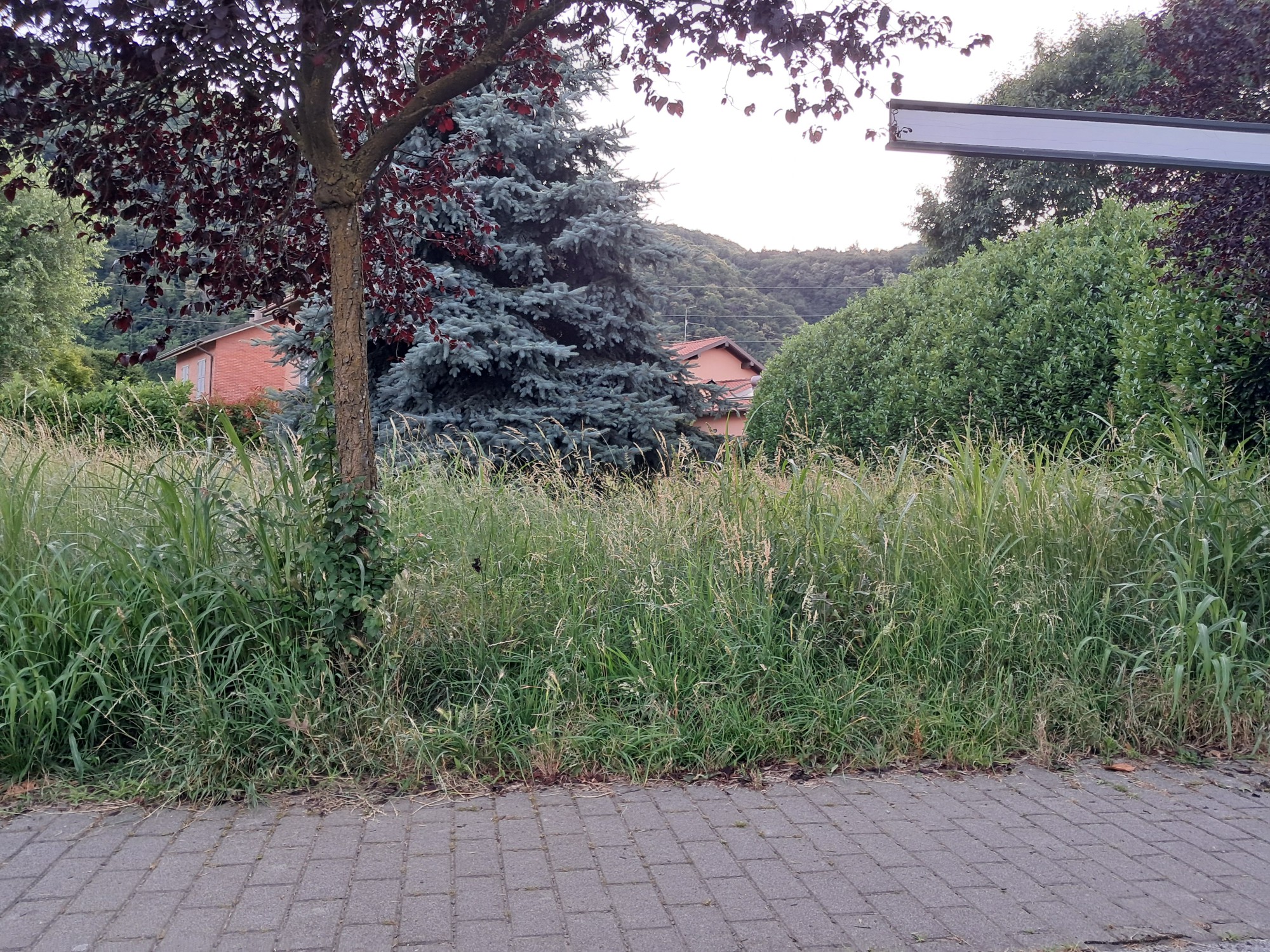 Airuno_appello_minoranza3.jpg (1.11 MB)