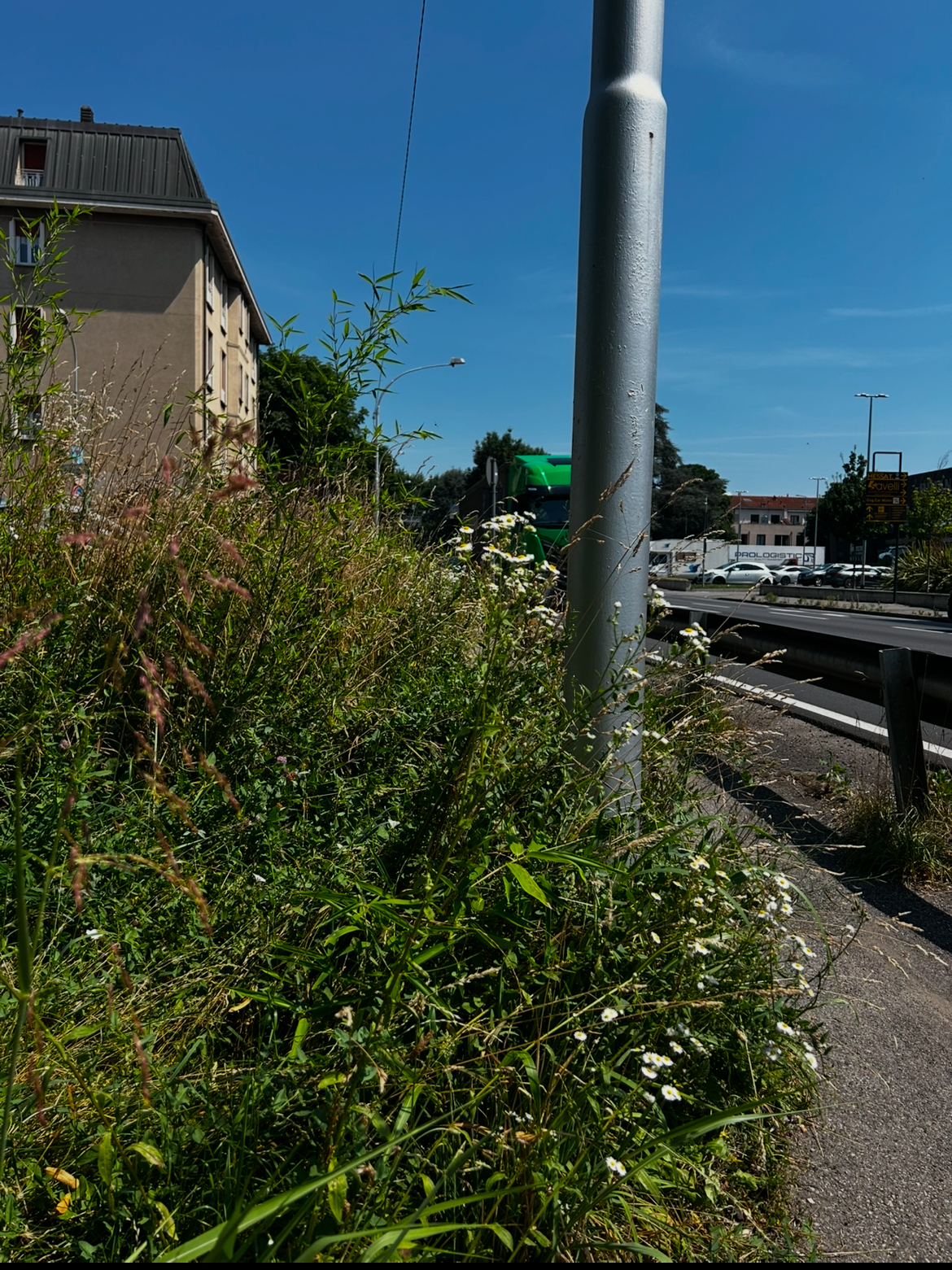 CcernuscoVerde__5_.jpeg (2.67 MB)