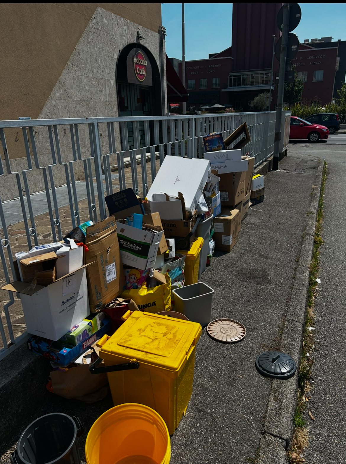 CcernuscoVerde__6_.jpeg (2.16 MB)