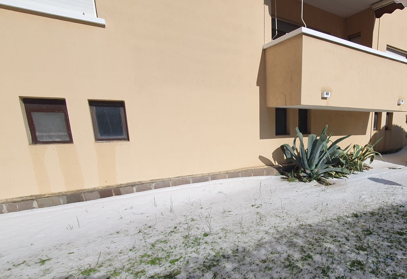 MezzagoGrandineCaduta3.jpg (175 KB)