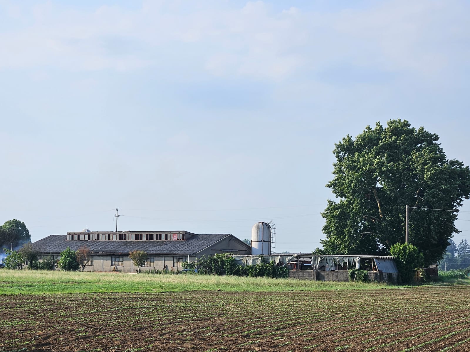 PadernoVvfFienile5.jpg (256 KB)