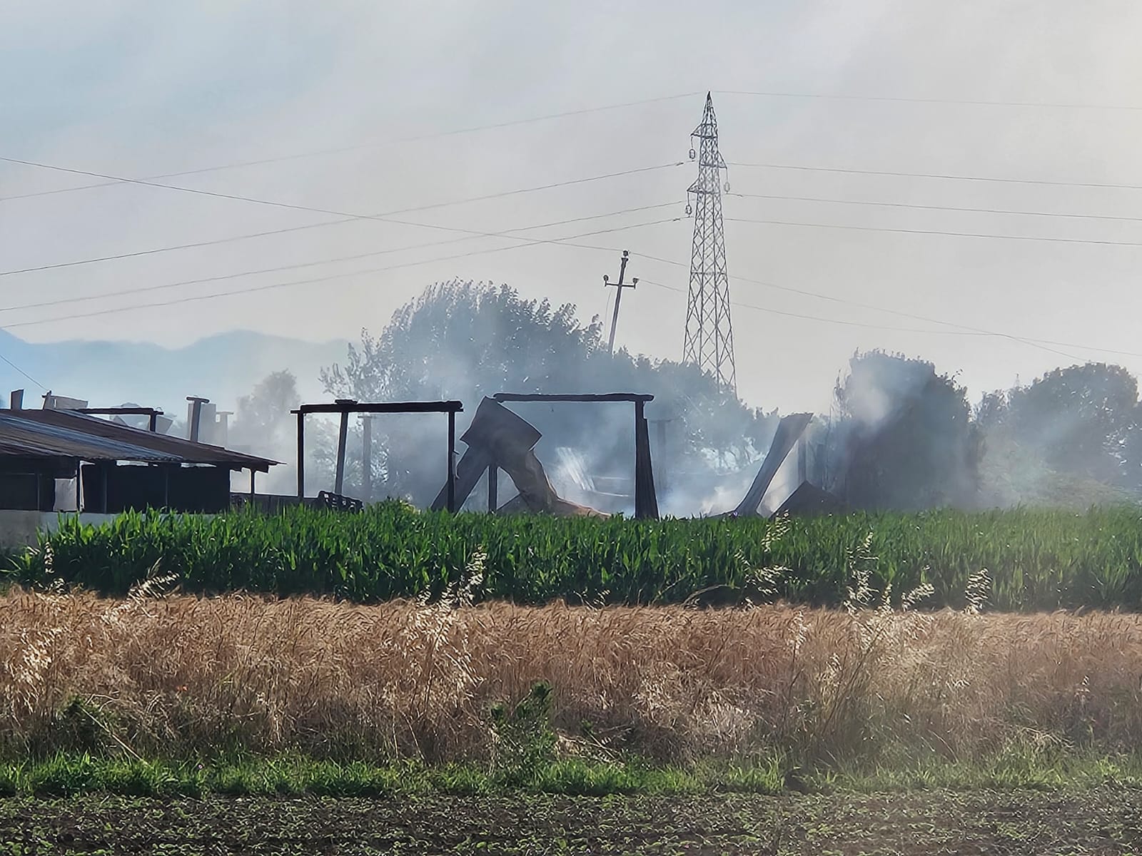 Paderno_IncendioFienile2606266.jpg (275 KB)