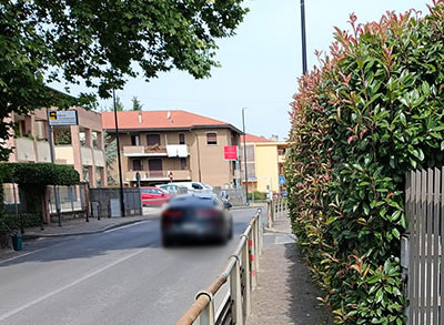 VerderioSiepeTaglio.jpg (52 KB)