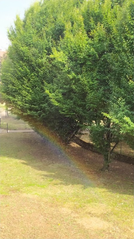 Arcobaleno.jpg (141 KB)