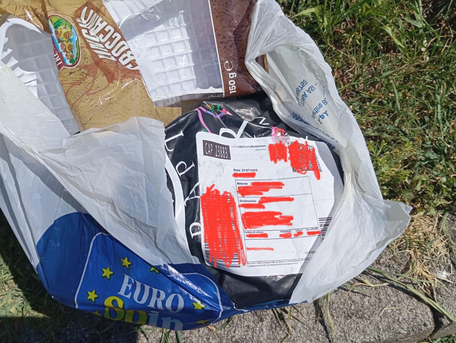 Brivio_rifiuti_abbandonati1.jpeg (293 KB)
