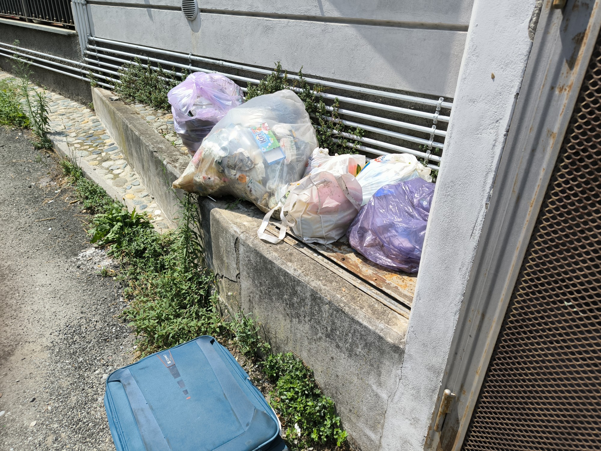 CalcoRifiutiAbbandonati__2_.jpg (1.09 MB)