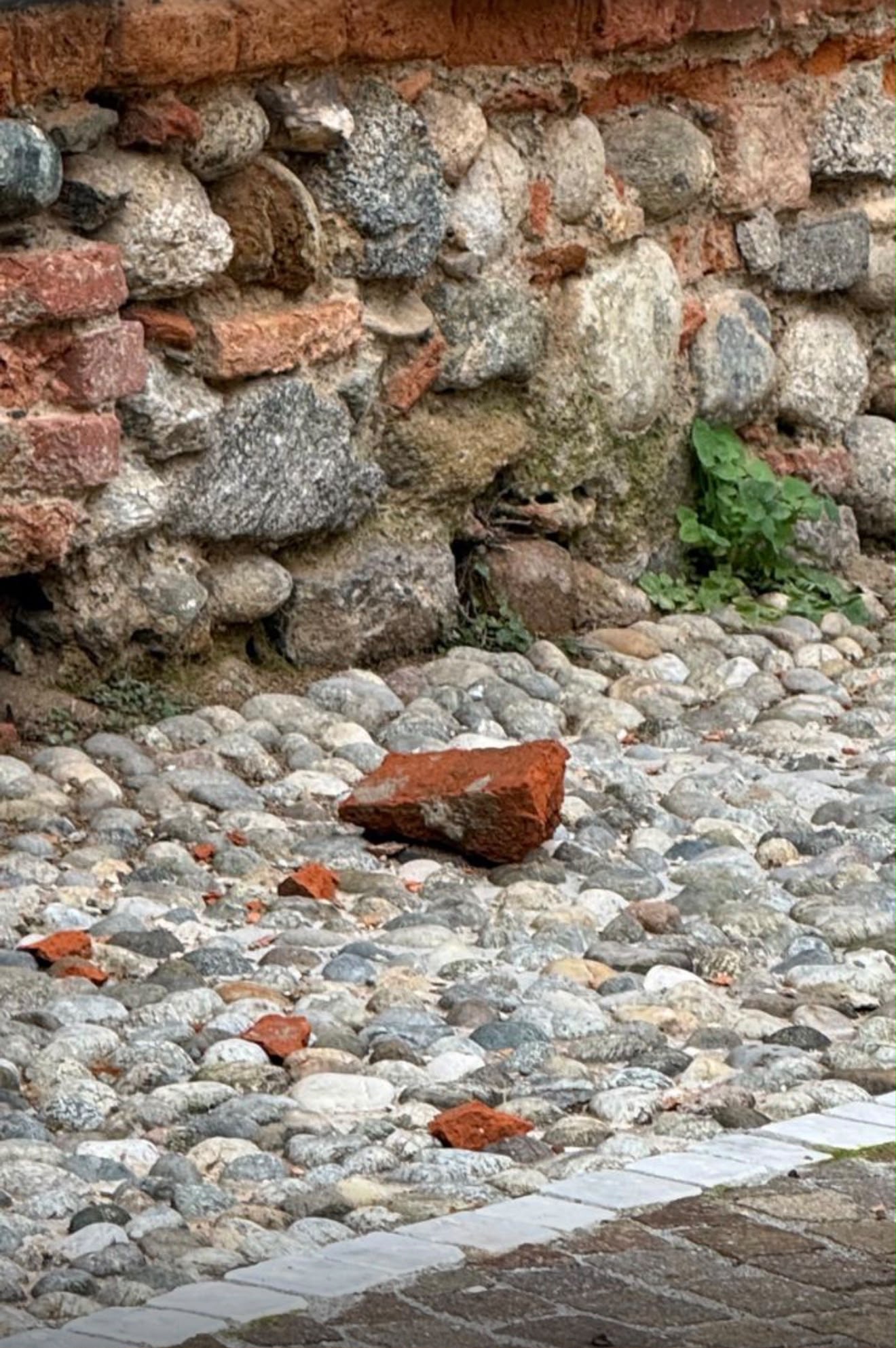 CastelloPrinettiCalcinacci__1_.jpg (375 KB)