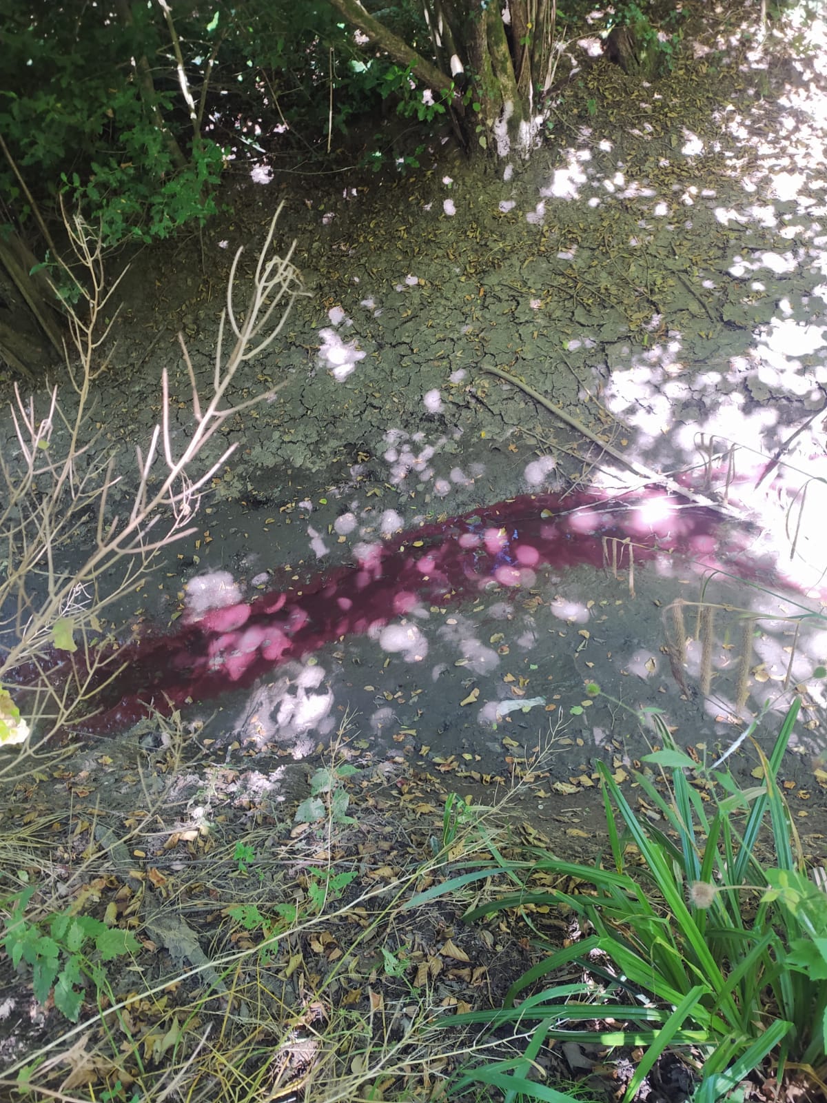 CuroneRossoTorrente2.jpg (401 KB)