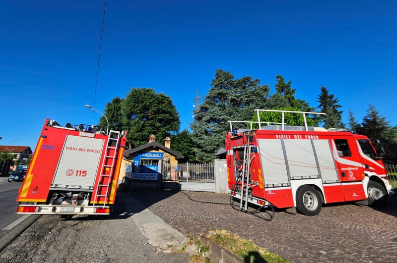 Incendio_fioriere1.jpeg (120 KB)