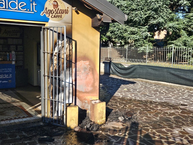 Incendio_fioriere2.jpeg (193 KB)