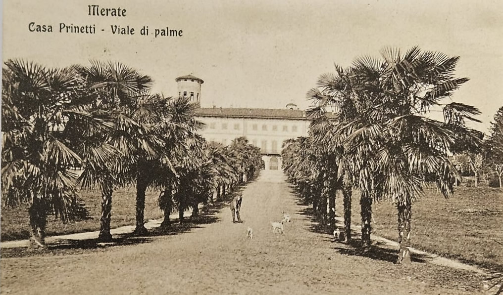 MerateCastelloEditoriale2.jpg (216 KB)