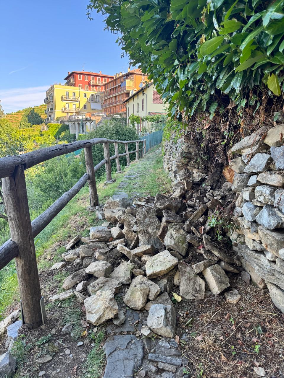 MontevecchiaSmottamentoOliva.jpg (322 KB)