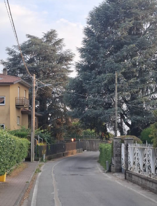 NovateseAttentoLettera.jpg (95 KB)