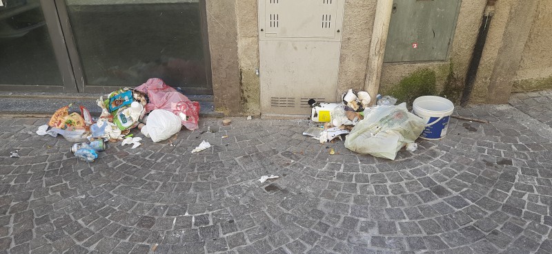 Brivio_lettera_rifiuti3.jpeg (101 KB)