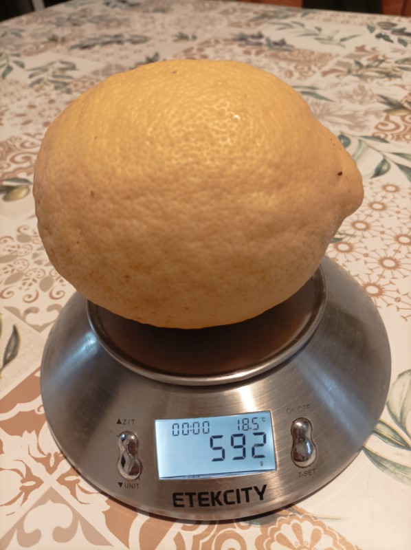 LimoncelloVerderio.jpg (88 KB)