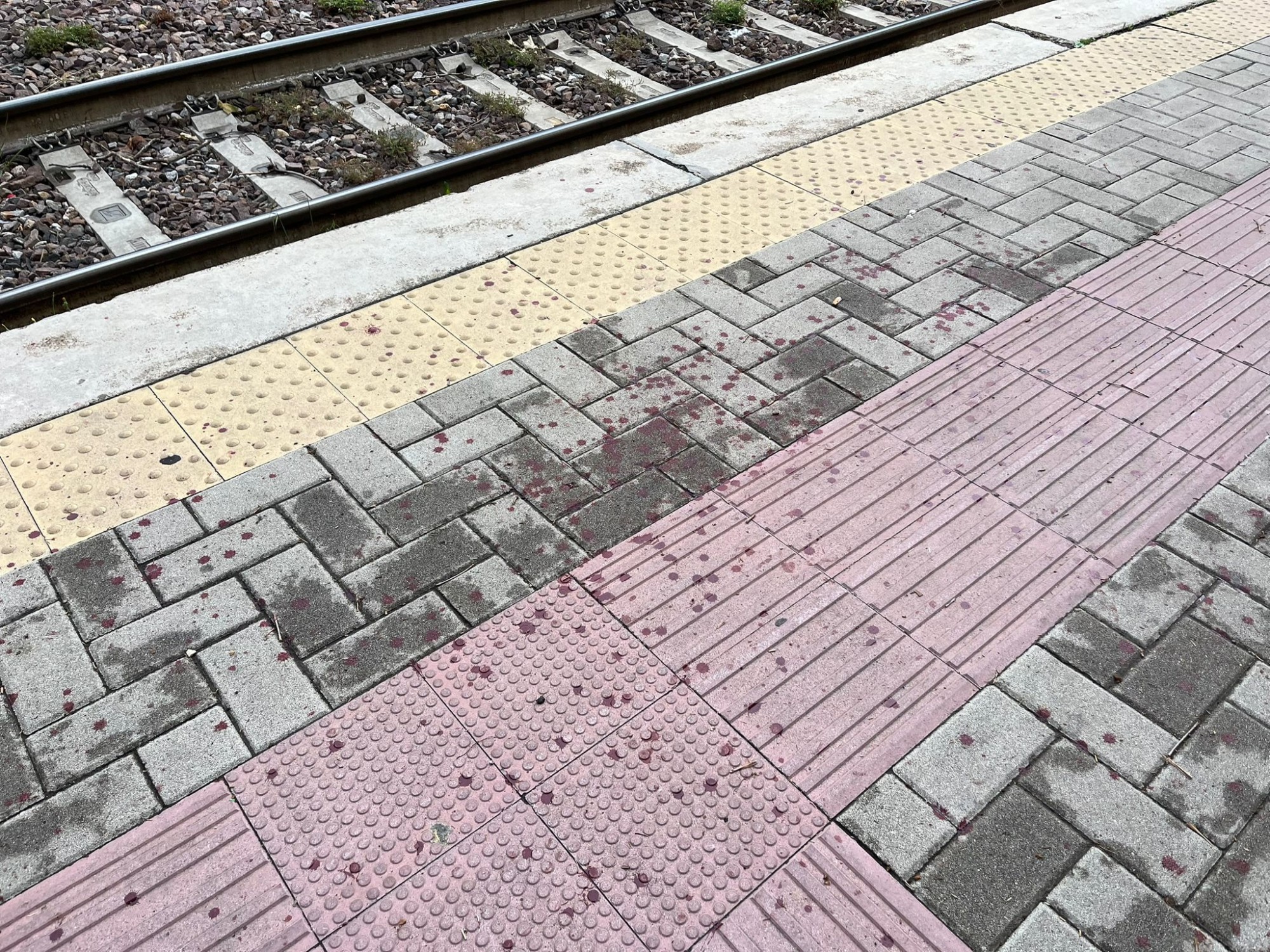 PadernoAggressioneStazione5.jpg (1.10 MB)