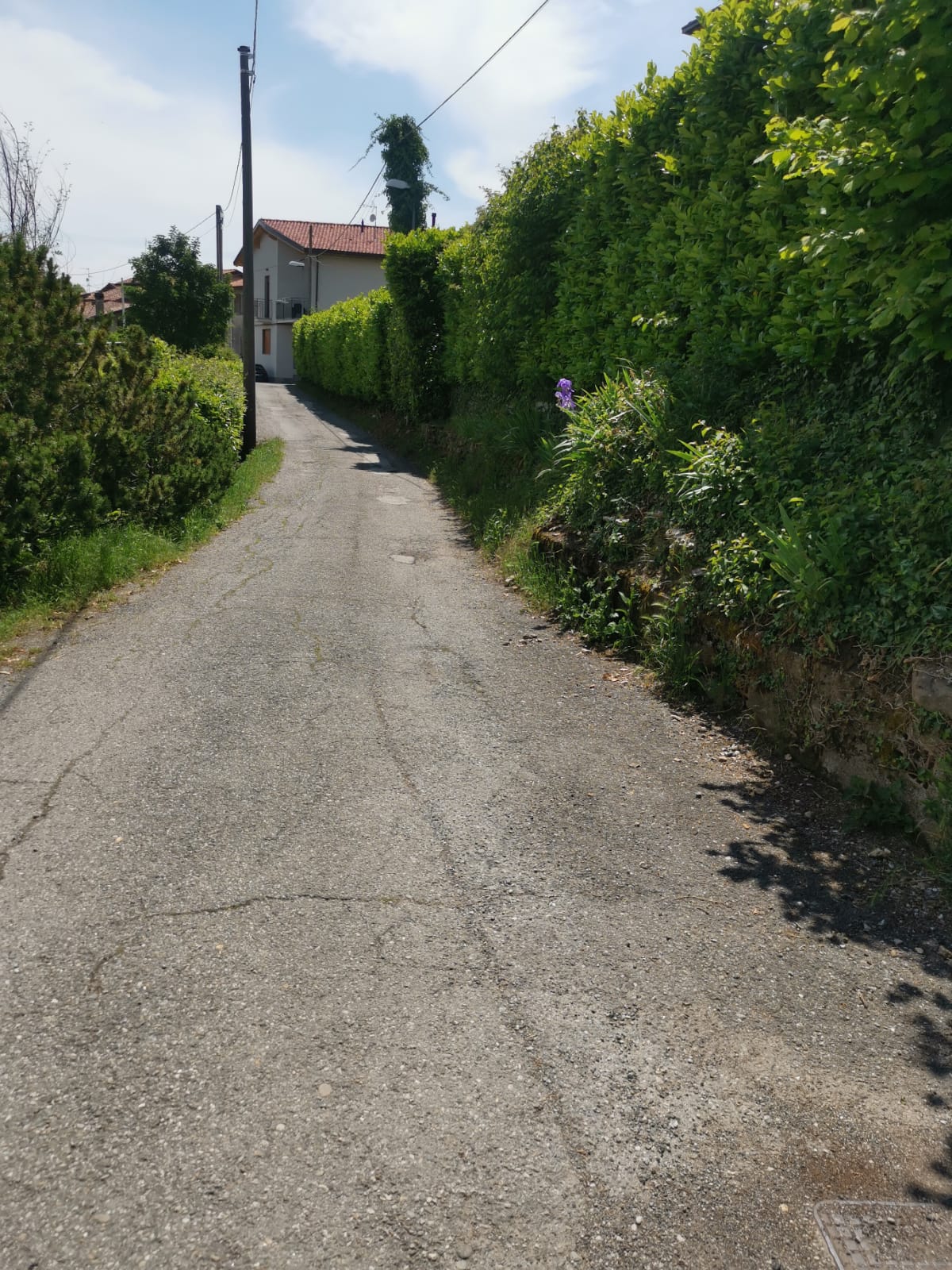 Via_Trieste.jpeg (373 KB)