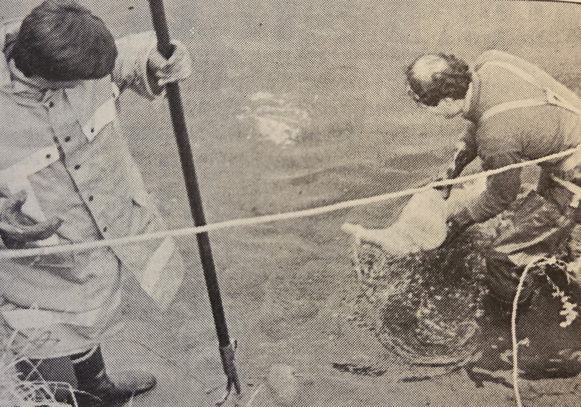 AccadevaGenFeb10.jpg (938 KB)