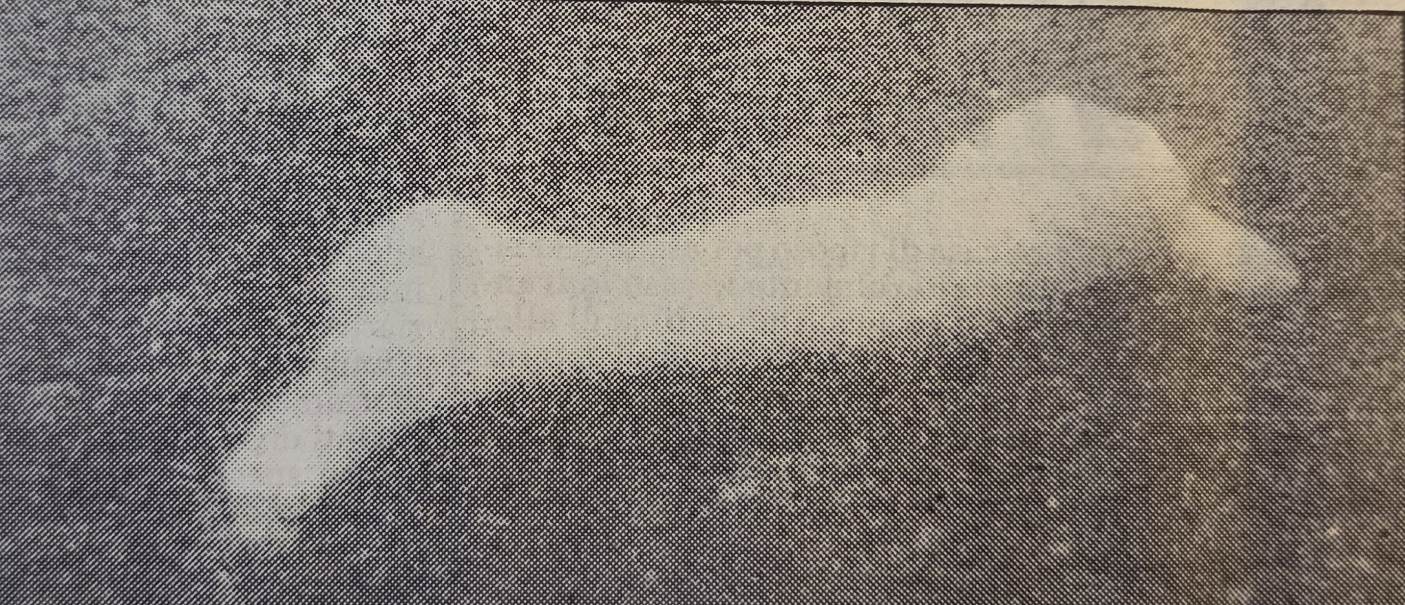 AccadevaGenFeb9.jpg (676 KB)