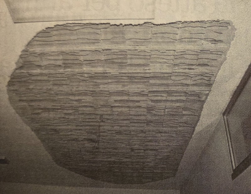 AccadevaGennaioTrenta11.jpg (192 KB)