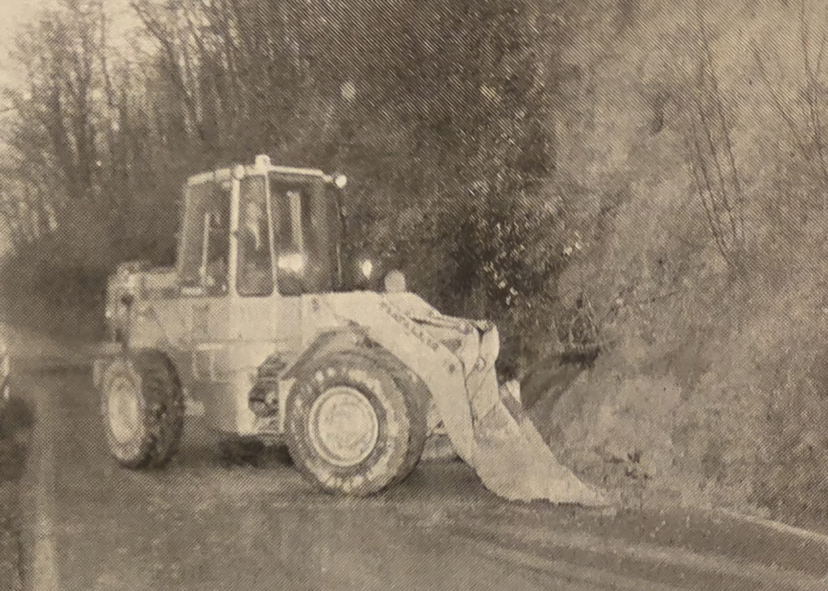 AccadevaGennaioTrenta2.jpg (604 KB)