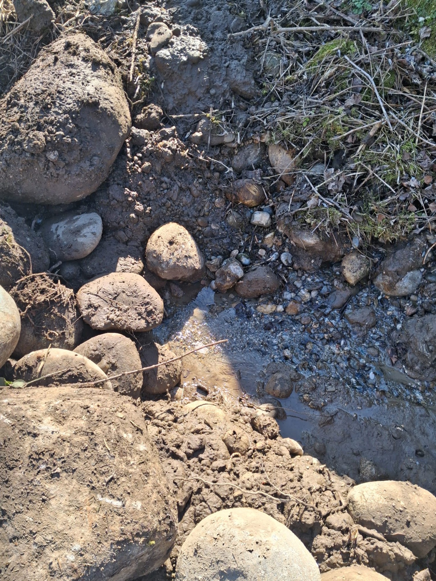 AddaCanalizzazioneStallazzo1.jpg (1005 KB)