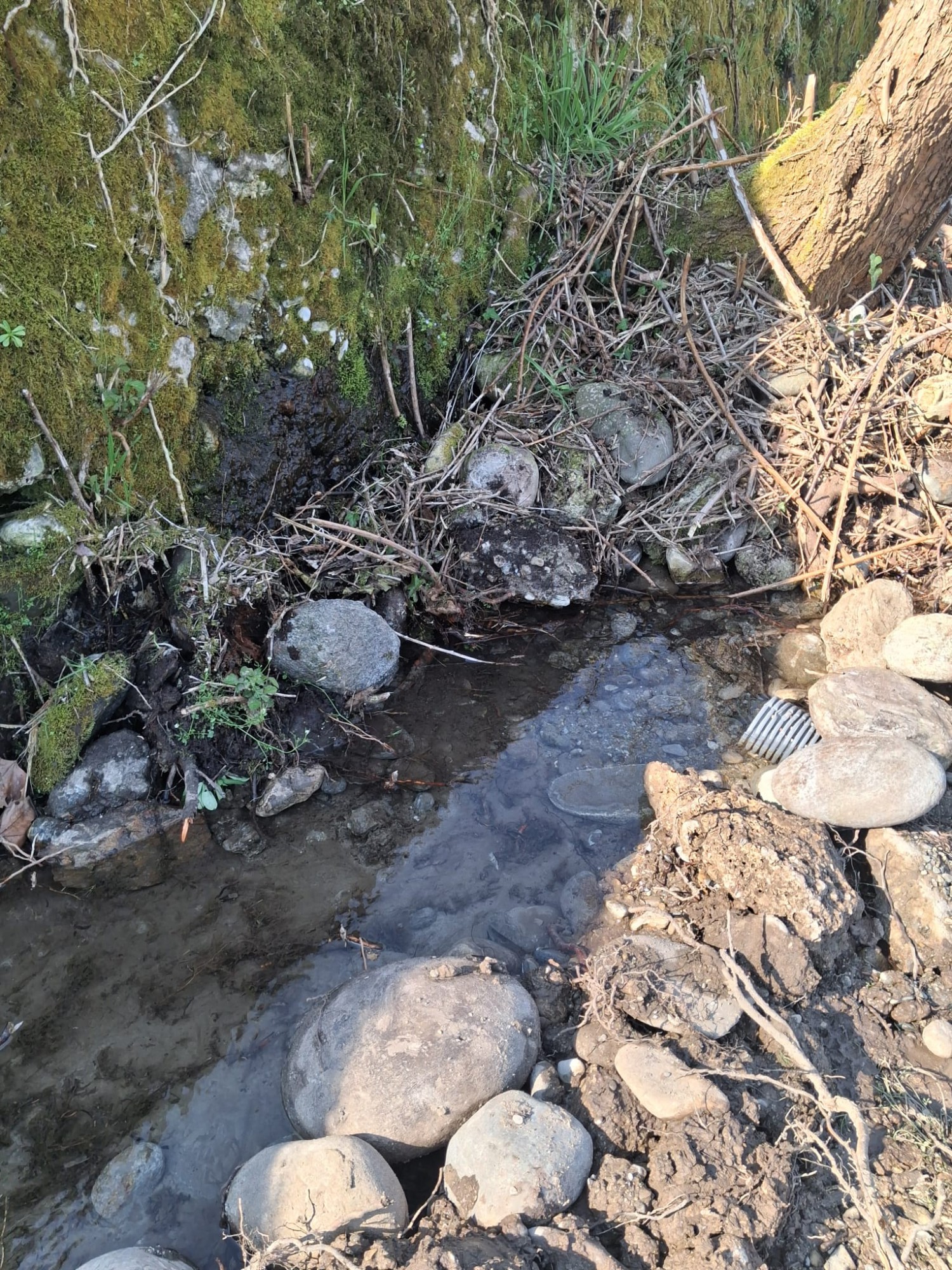 AddaCanalizzazioneStallazzo2.jpg (992 KB)