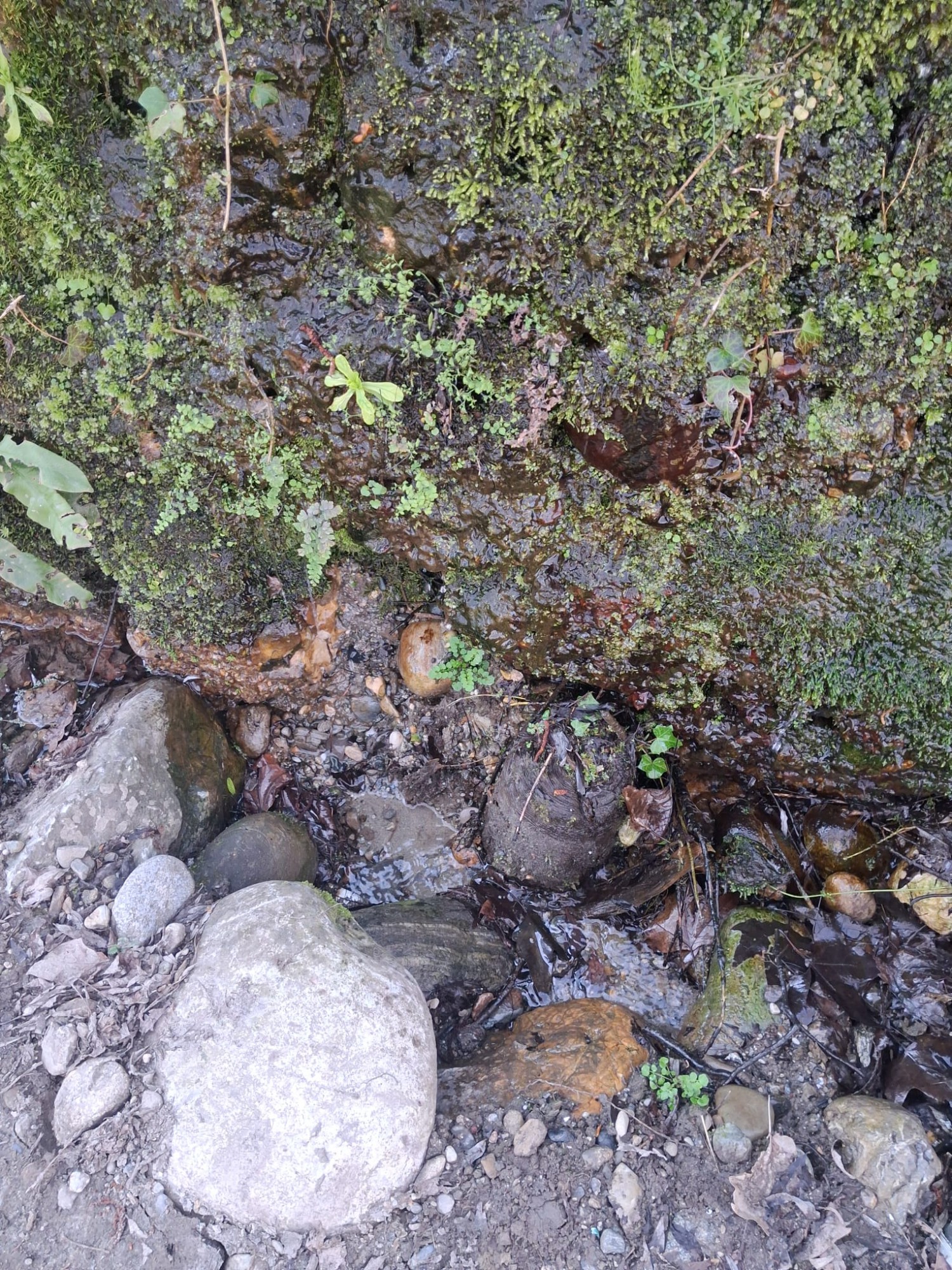 AddaCanalizzazioneStallazzo3.jpg (1.04 MB)