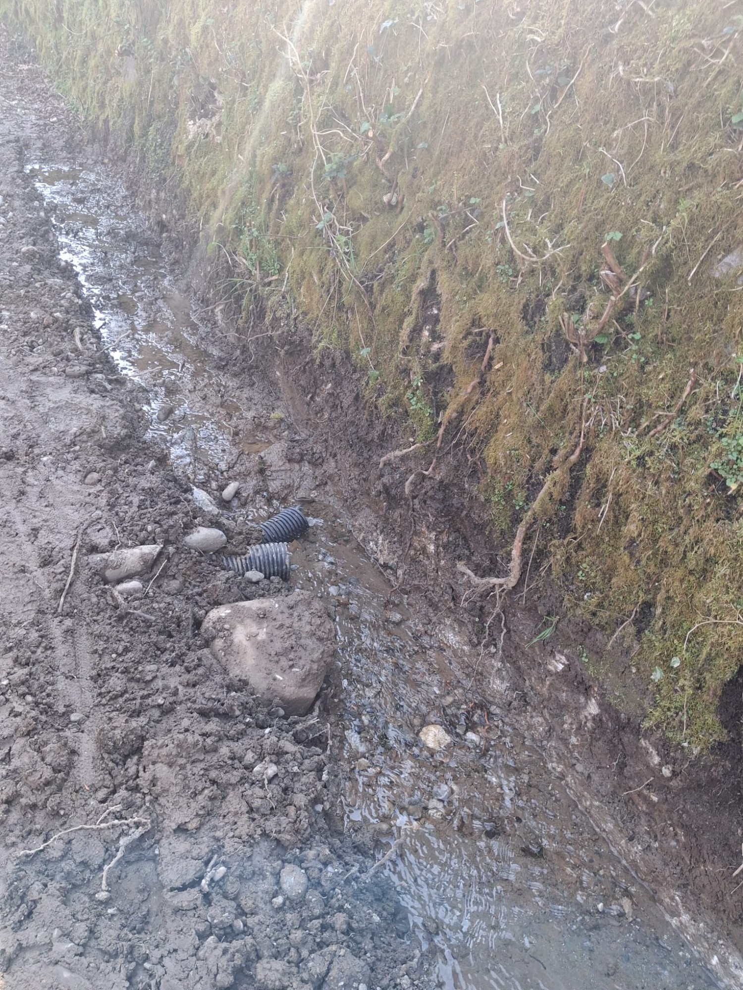 AddaCanalizzazioneStallazzo4.jpg (935 KB)