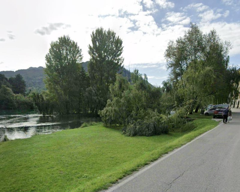 Brivio_salice3.jpg (123 KB)