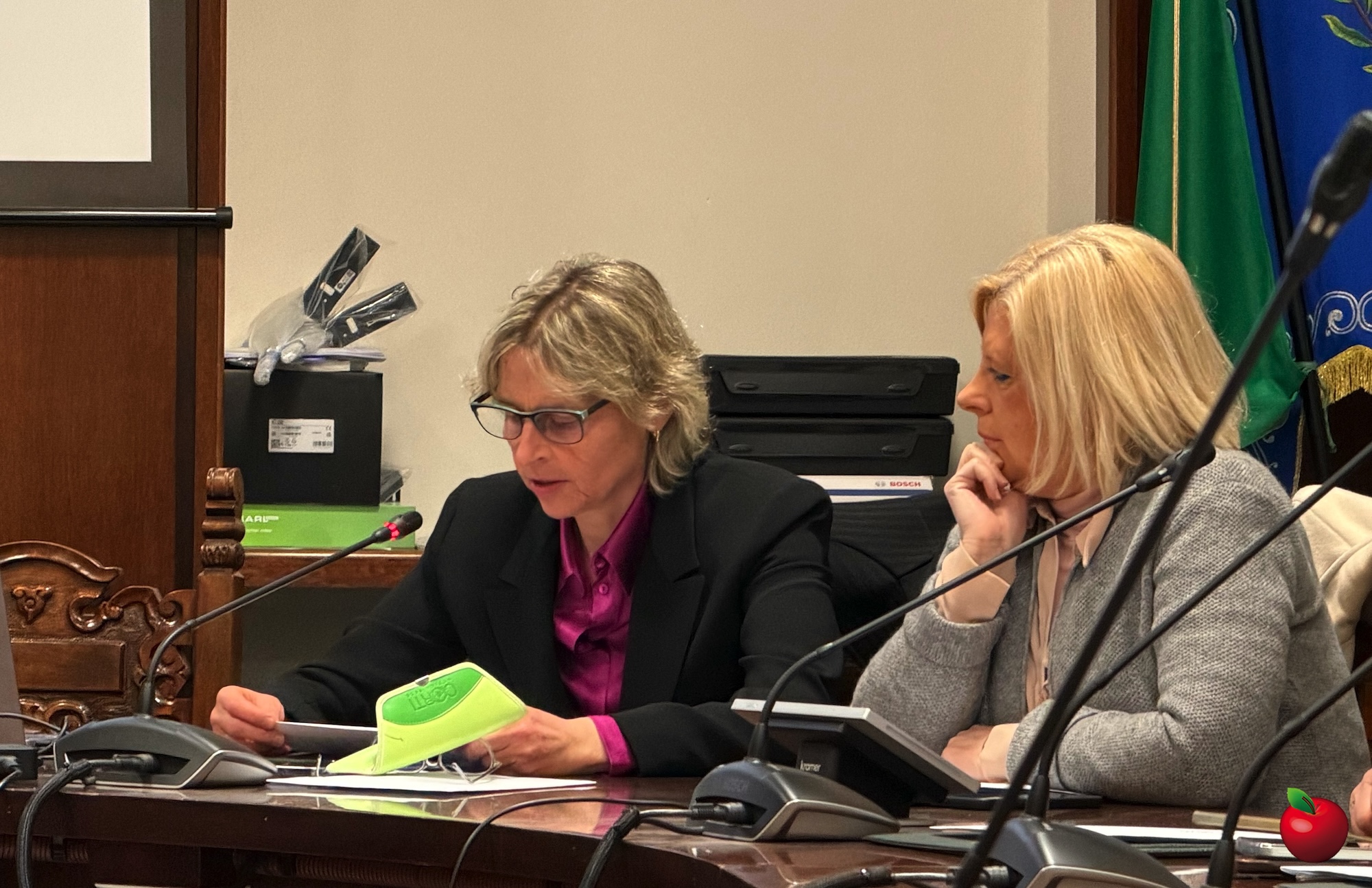 CC_Brivio_rigenerazione6.jpg (797 KB)