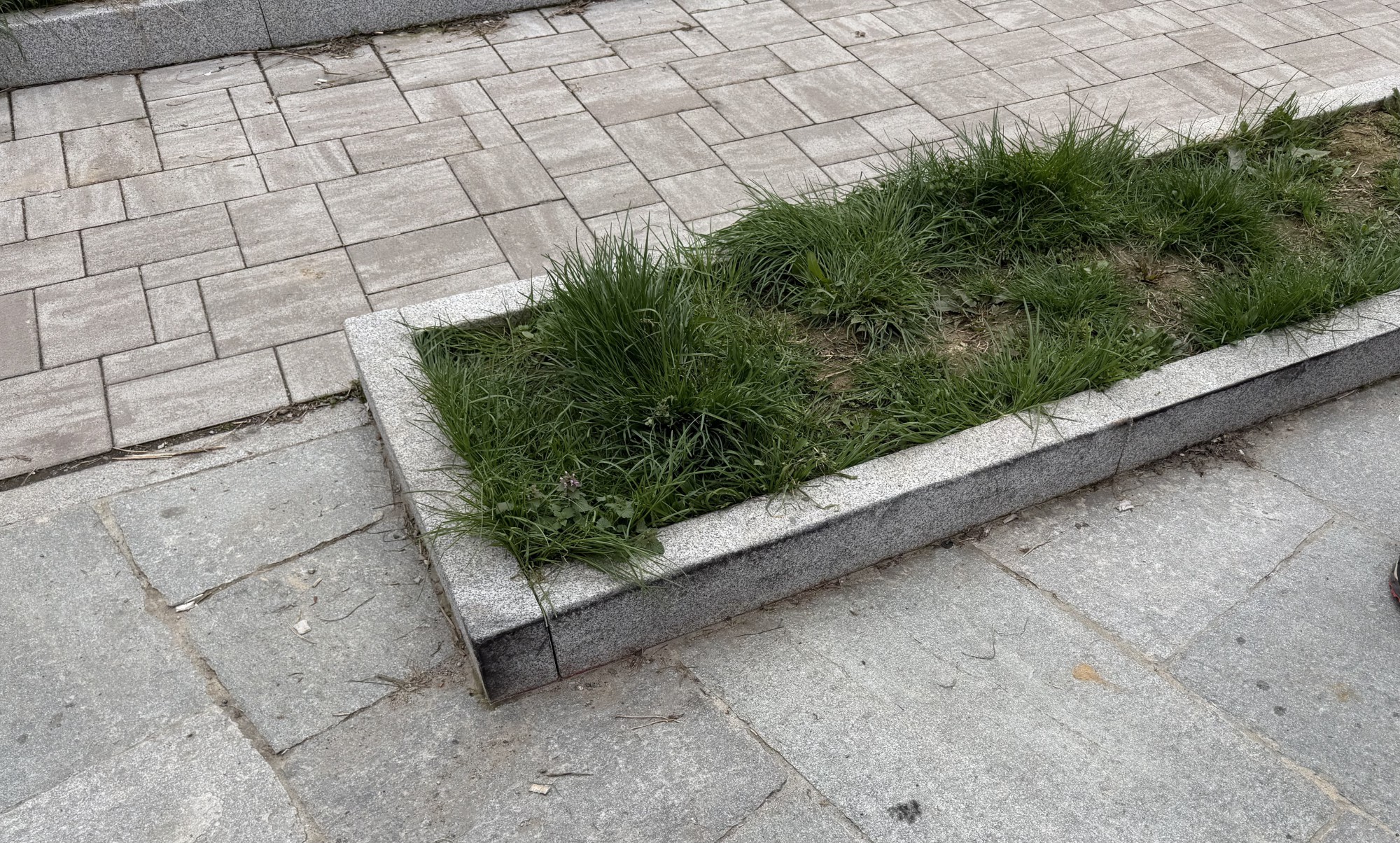 Calco_342_marciapiede4.jpeg (969 KB)