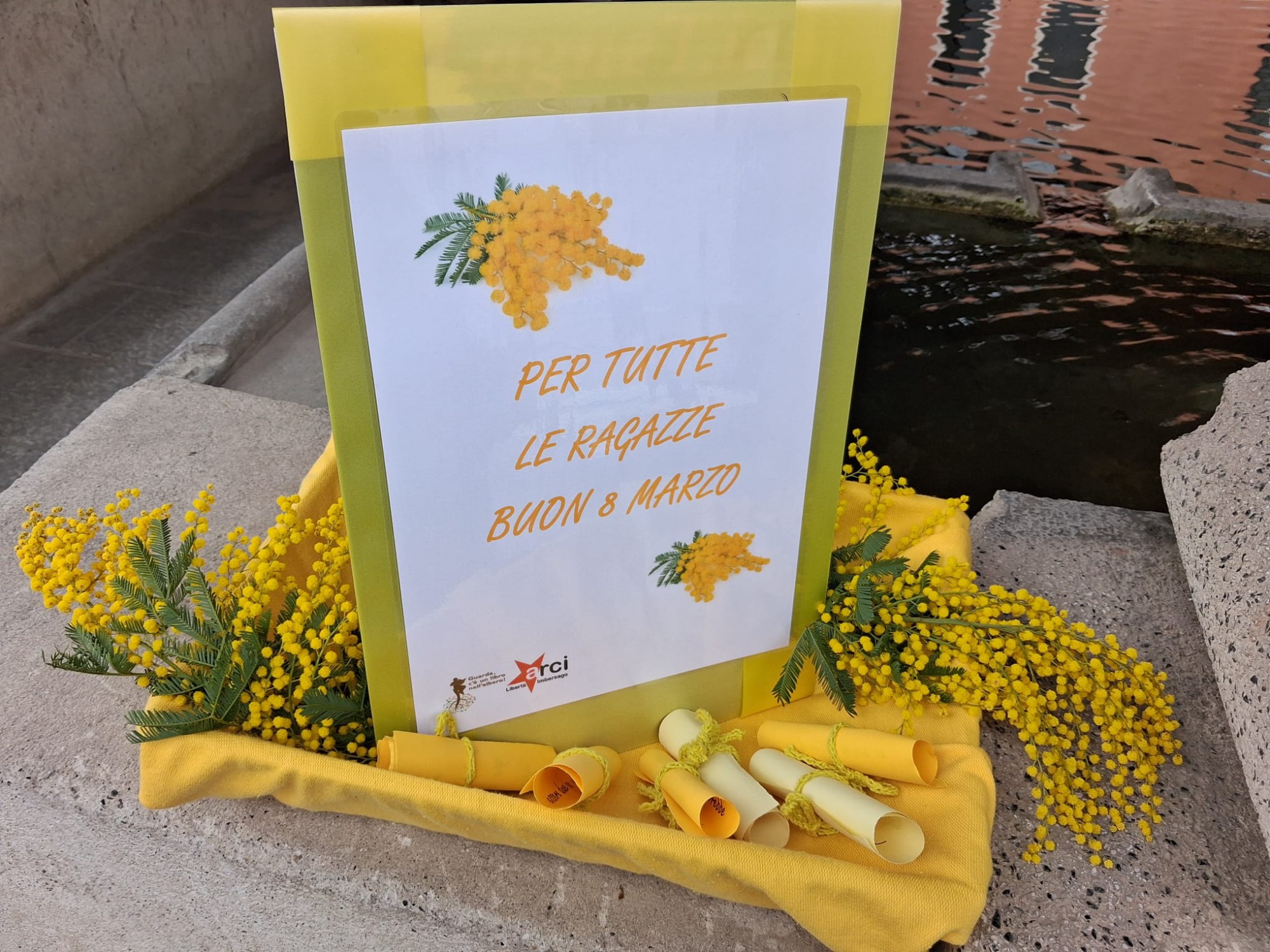 Imbersago8marzo__2_.jpeg (605 KB)