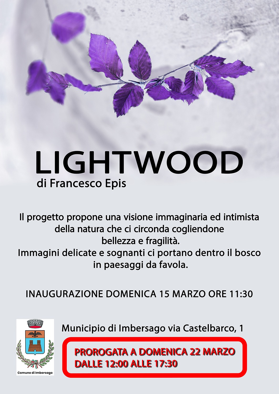 ImbersagoMostraLightwood__1_.jpeg (268 KB)