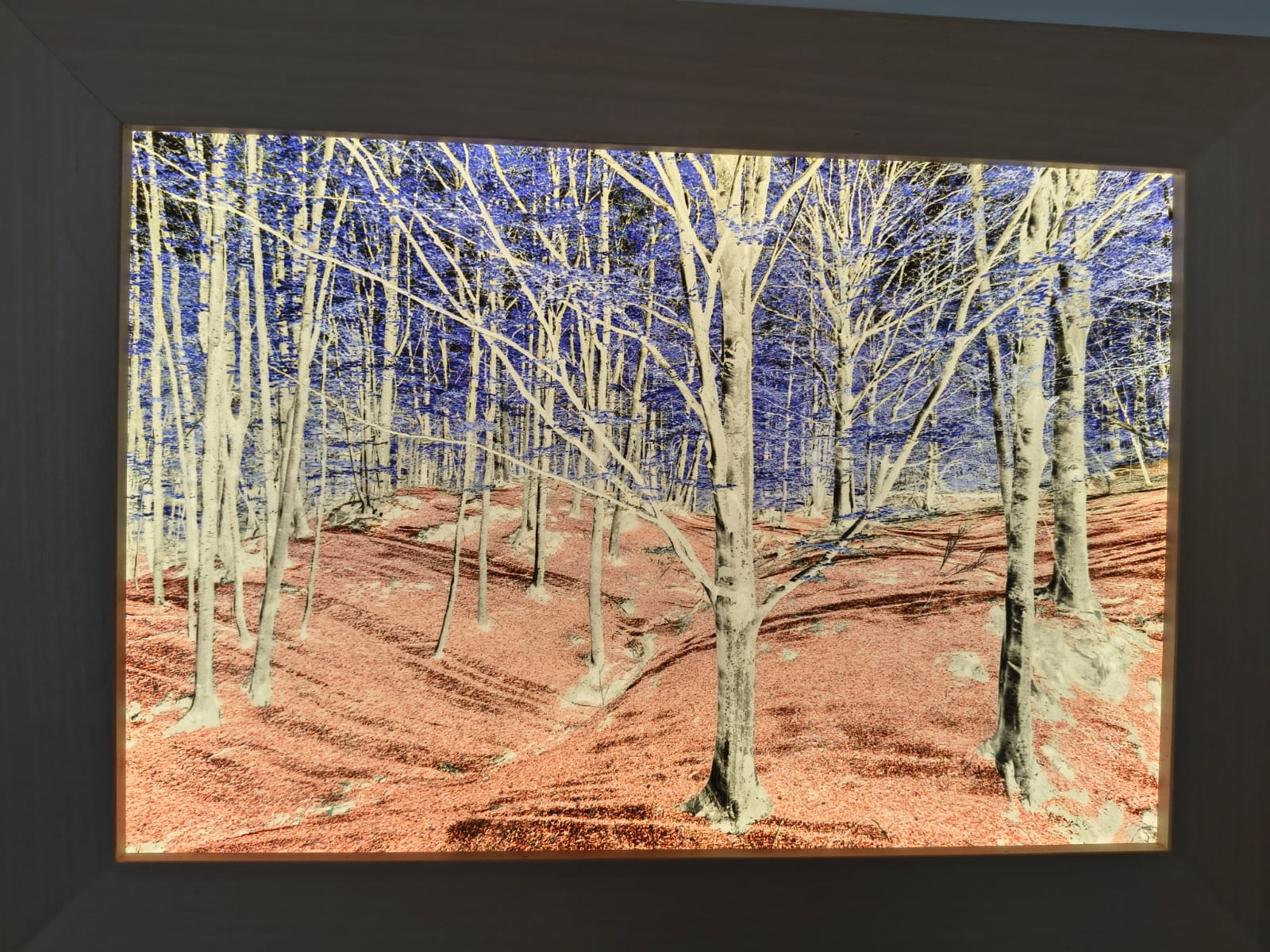 ImbersagoMostraLightwood__4_.jpeg (384 KB)