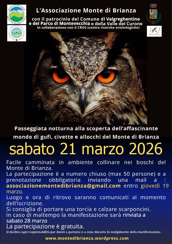 Locandina_Gufi_2026.jpeg (106 KB)