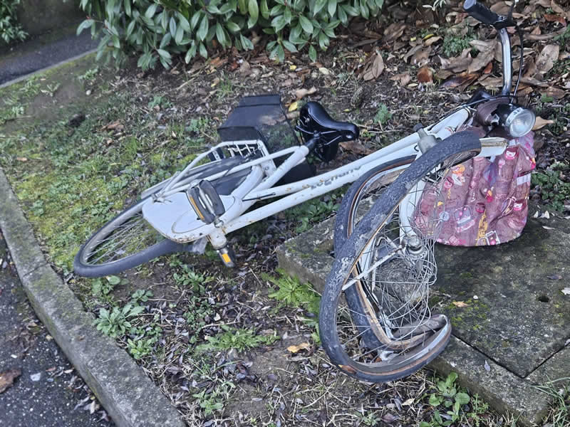 MauriliaCornoIncidente1.jpg (121 KB)