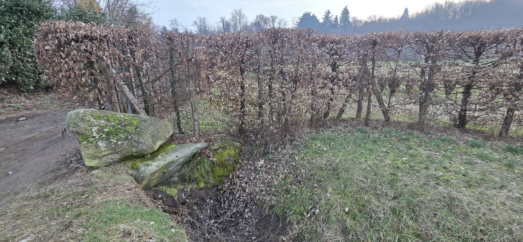 MerateSentenzaCdsTwins.jpg (517 KB)