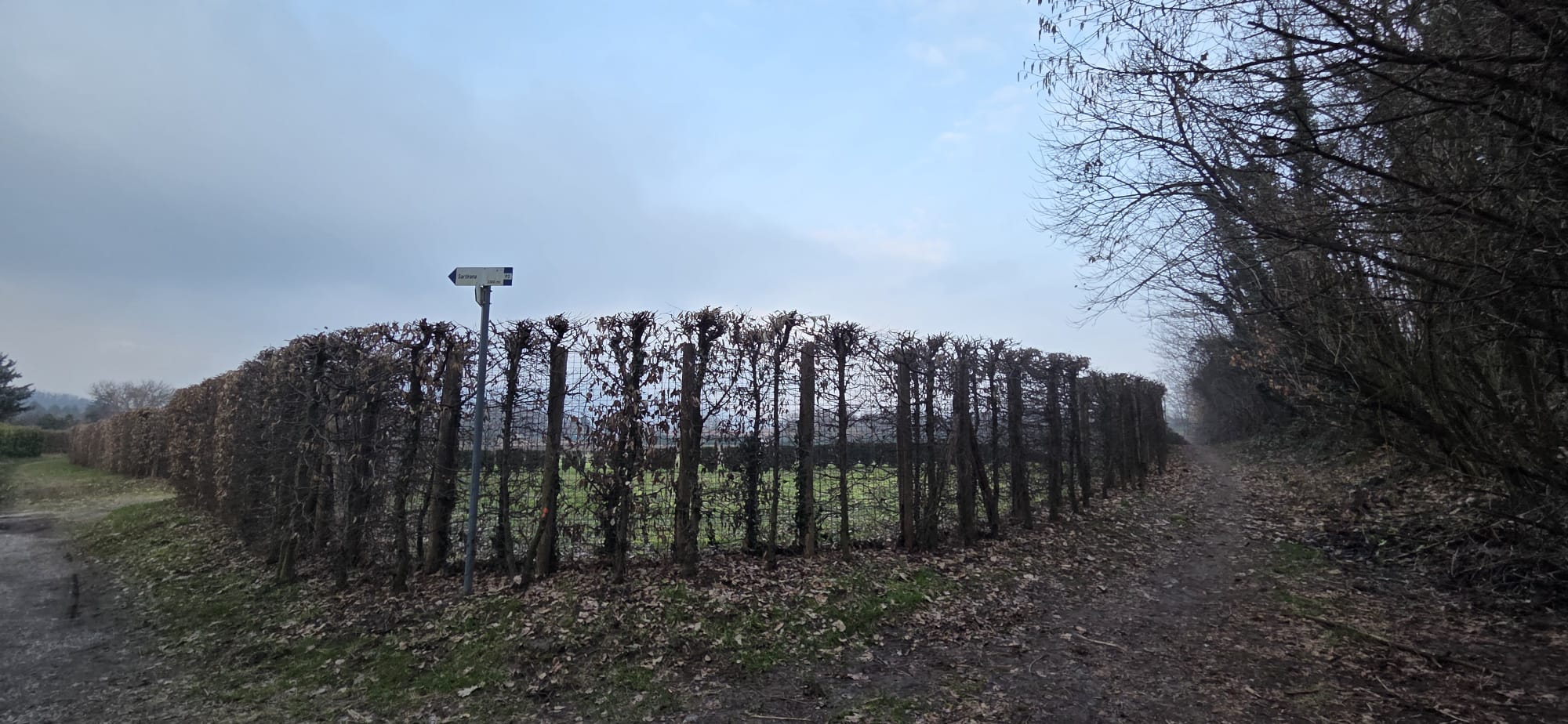 MerateSentenzaCdsTwins1.jpg (284 KB)