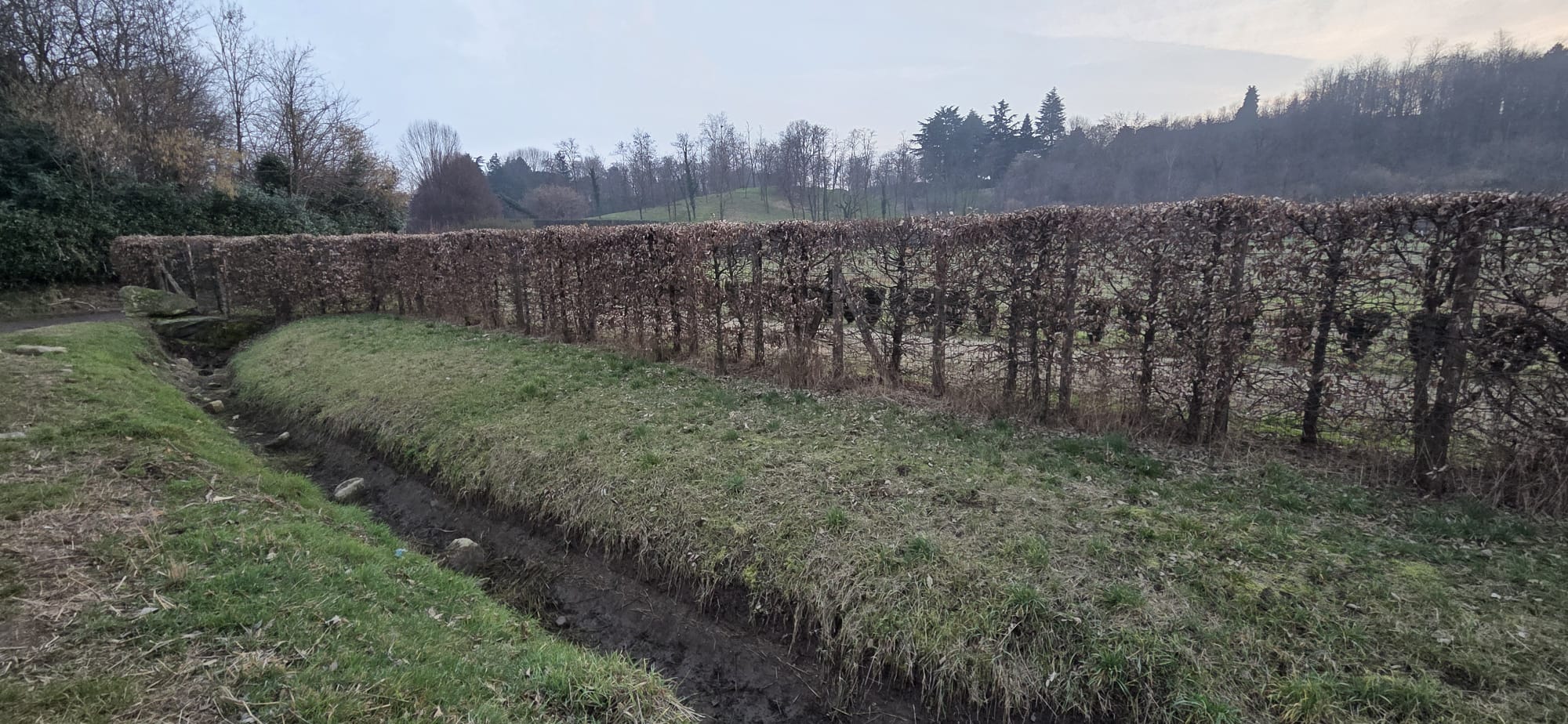 MerateSentenzaCdsTwins3.jpg (366 KB)