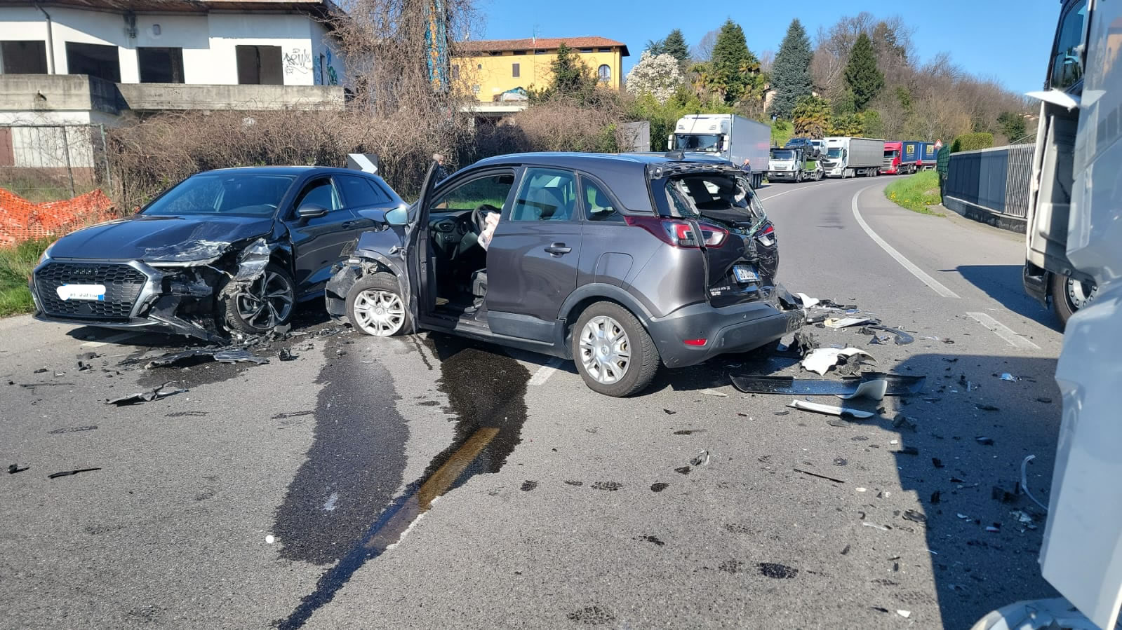 OlgiateFrAu.jpg (368 KB)