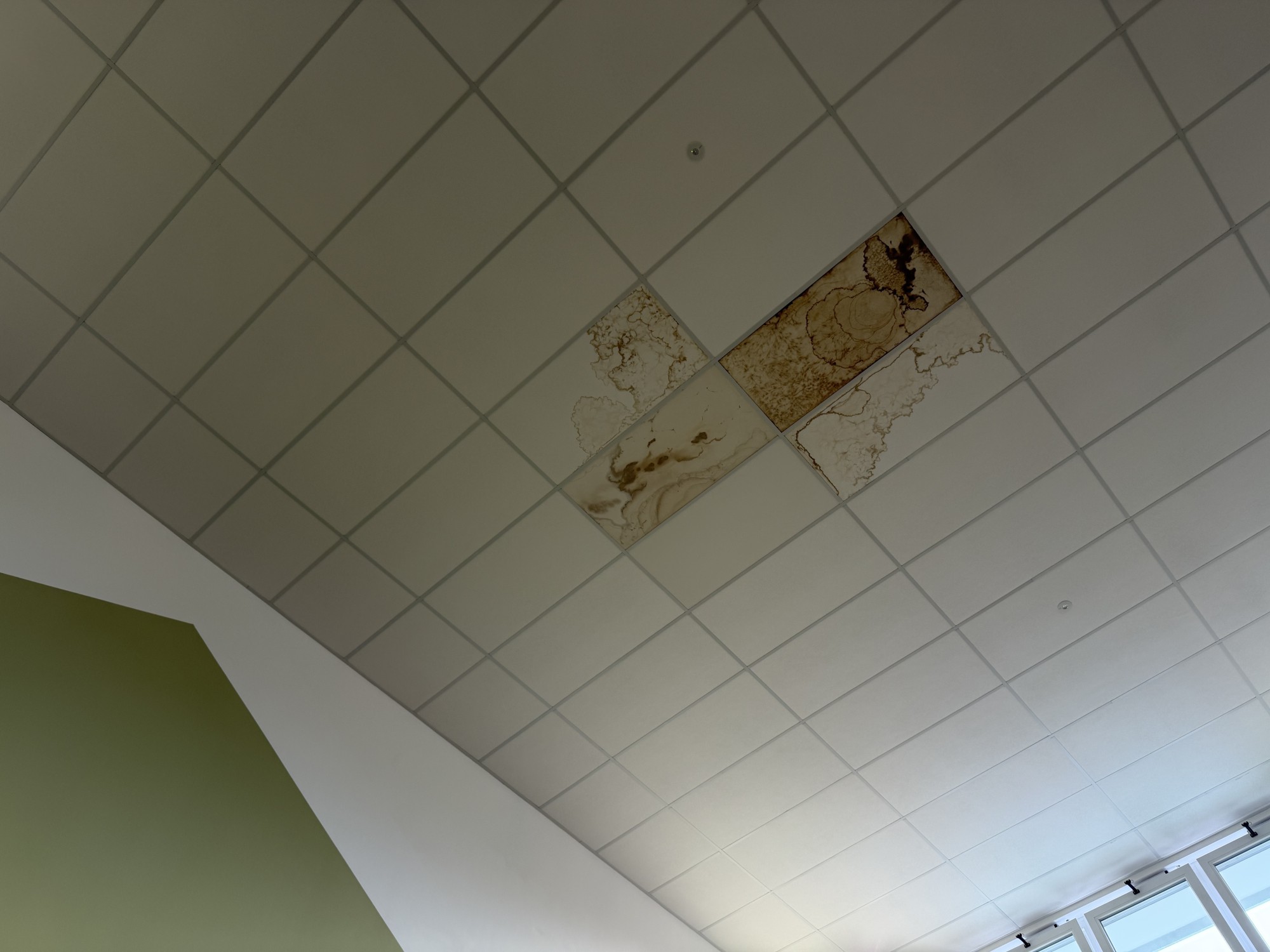 Olgiate_scuola_inflitrazioni_2.jpeg (257 KB)