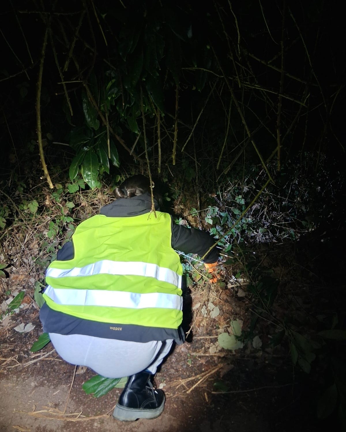 ParcoSalvaGuardiaAnfibi1.jpg (332 KB)