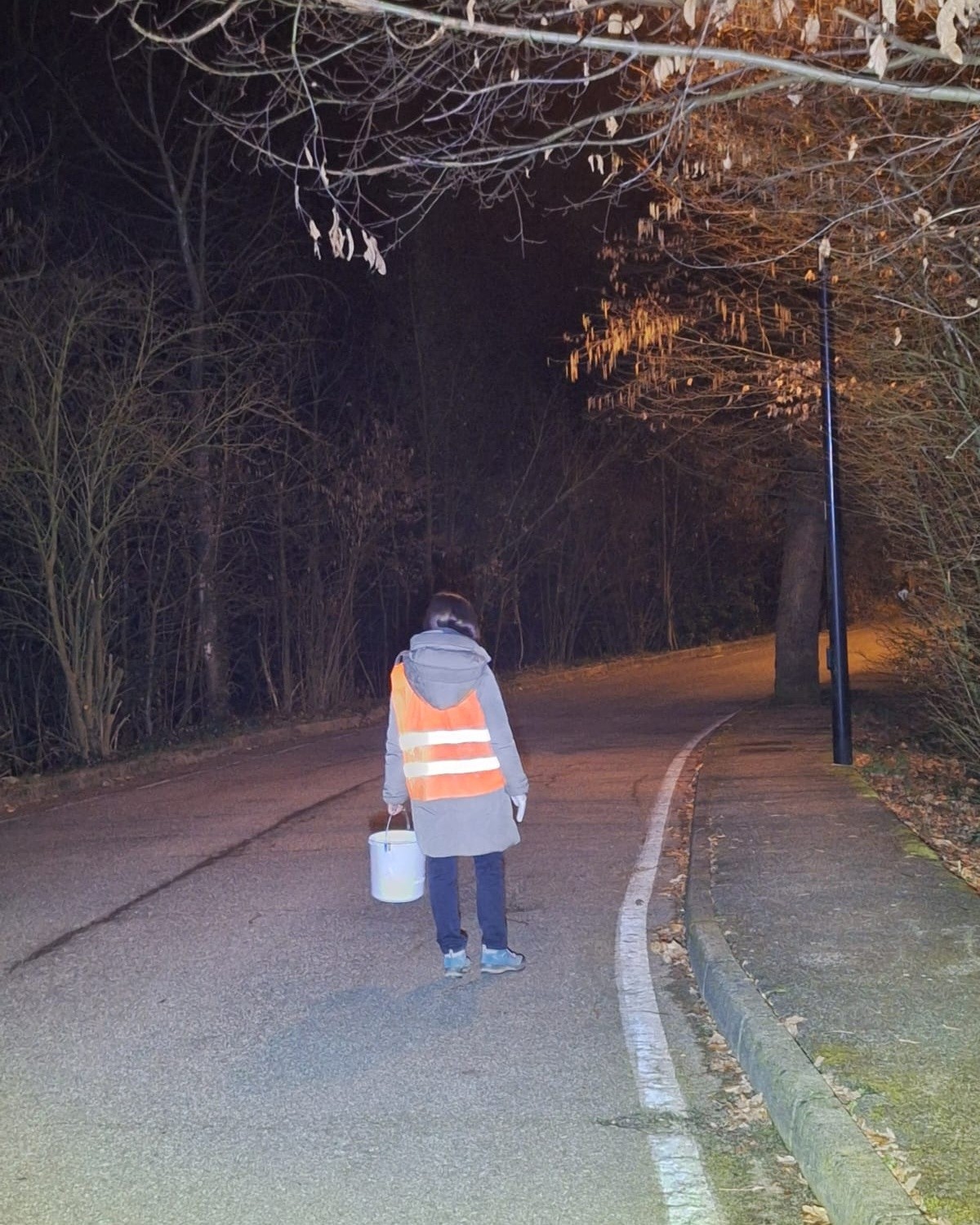 ParcoSalvaGuardiaAnfibi5.jpg (451 KB)