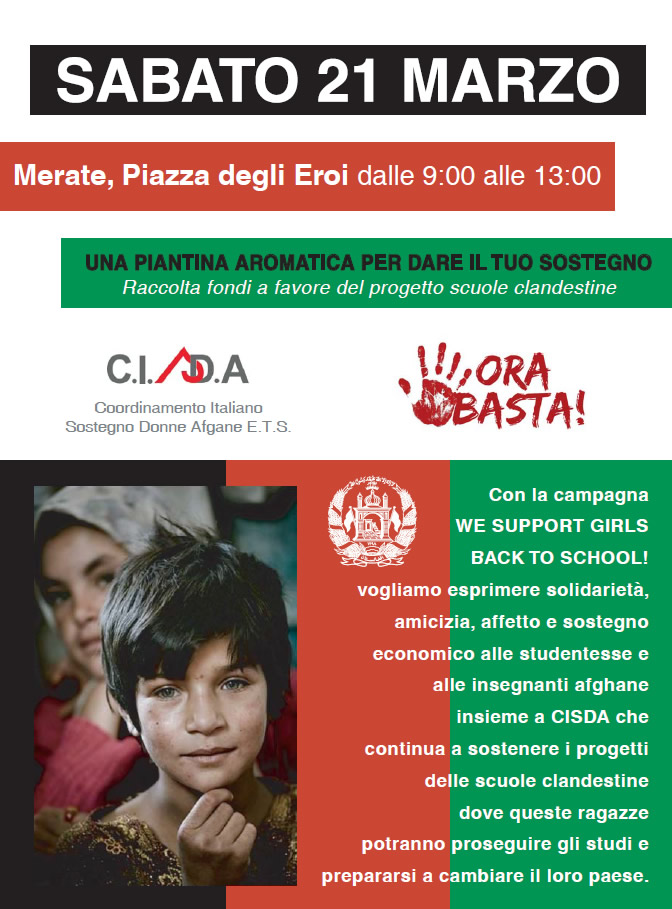 PiantinaOraBasta.jpg (159 KB)