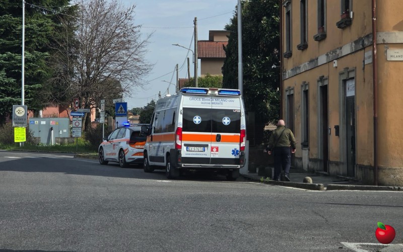 Robbiate_panda_arancio1.jpg (118 KB)