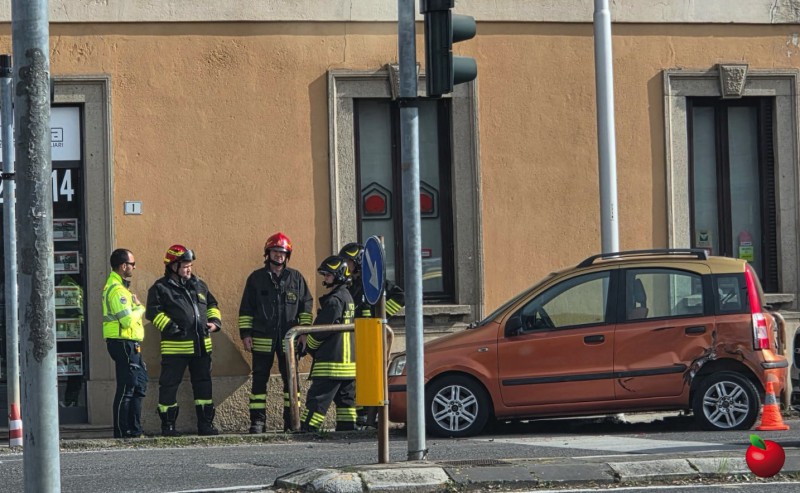 Robbiate_panda_arancio2.jpg (112 KB)