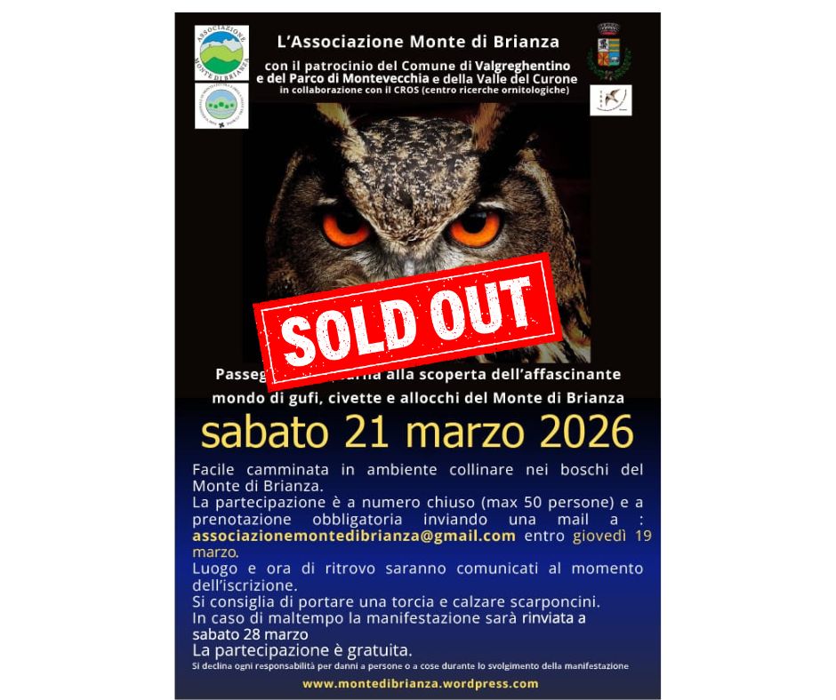 SOLD_OUT_ok.jpg (119 KB)