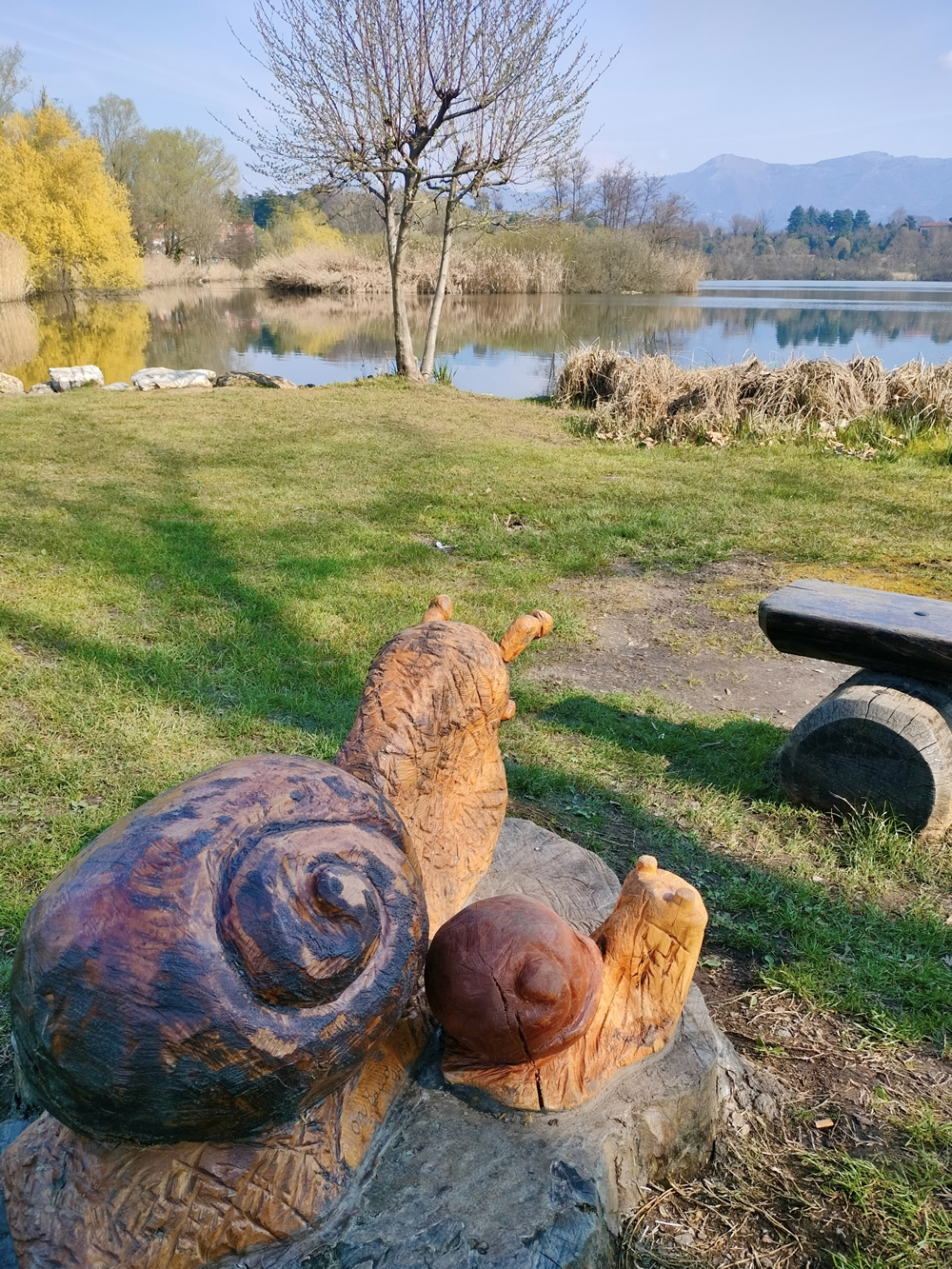 SartiranaPrimavera2.jpg (1.31 MB)