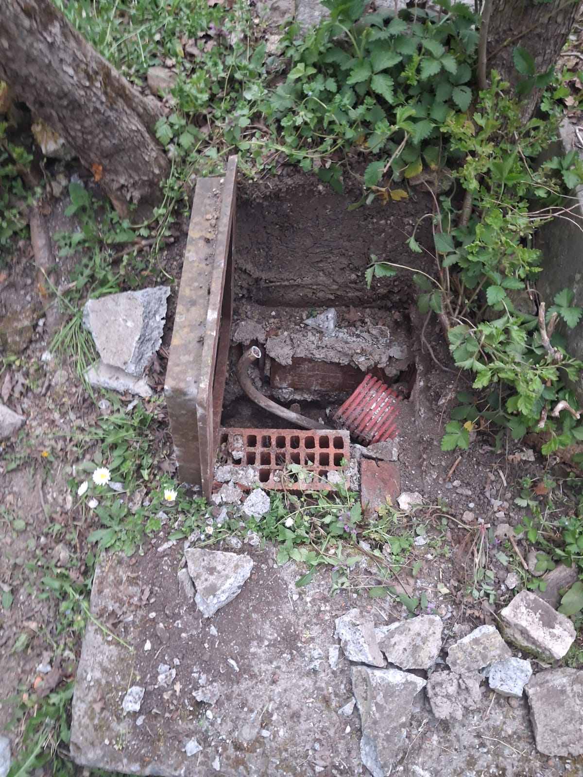 StallazzoDannoCanaline1.jpg (371 KB)